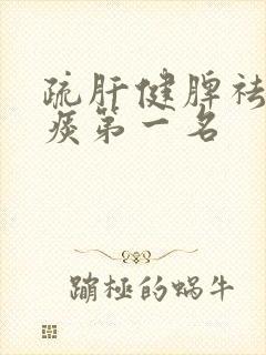 疏肝健脾祛湿化痰第一名