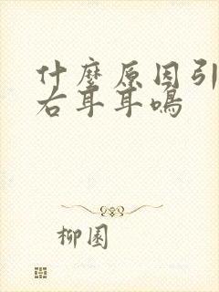 什么原因引起的右耳耳鸣