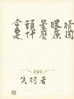 会头晕眼睛模糊是什么原因