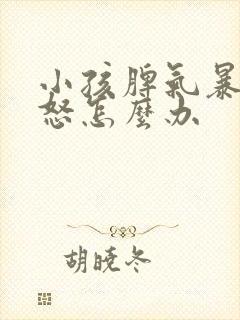 小孩脾气暴躁易怒怎么办封面