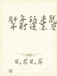 84年的老鼠今年财运怎么样