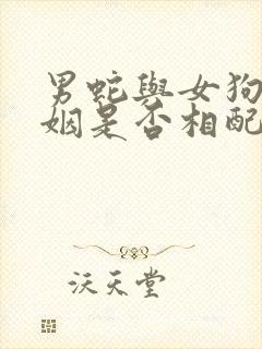 男蛇与女狗的婚姻是否相配