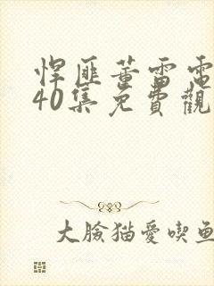 悍匪董雷电视剧40集免费观看