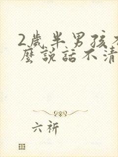 2岁半男孩不怎么说话不清楚封面