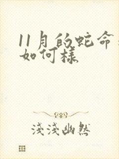 11月的蛇命运如何样