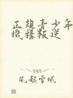 正规青少年管教机构叛逆