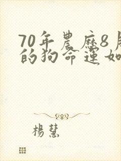 70年农历8月的狗命运如何封面