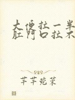 大便拉一半堵在肛门口拉不出来怎么办封面