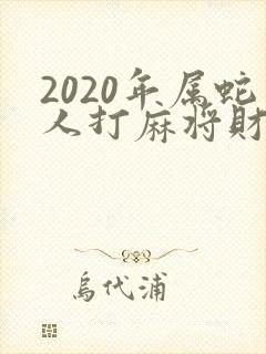 2020年属蛇人打麻将财运方向