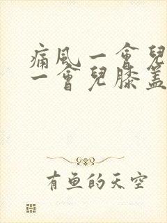 痛风一会儿脚疼一会儿膝盖疼封面