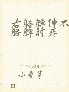 右胳膊伸不直,胳膊肘疼封面