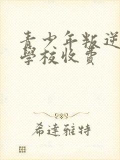 青少年叛逆正规学校收费