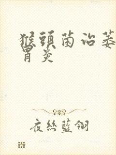 猴头菌治萎缩性胃炎