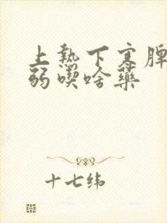 上热下寒脾胃虚弱吃啥药