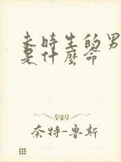 未时生的男孩子是什么命