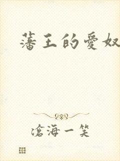 藩王的爱奴