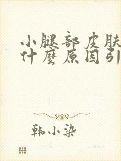 小腿部皮肤痒是什么原因引起的