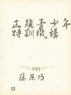 正规青少年叛逆特训机构