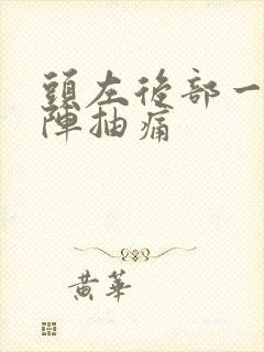 头左后部一阵一阵抽痛