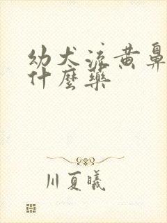 幼犬流黄鼻涕吃什么药