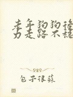 老年狗狗后腿无力走路不稳