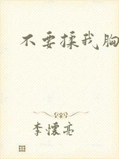 不要揉我胸