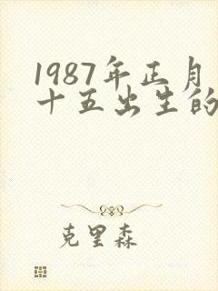 1987年正月十五出生的人什么命封面