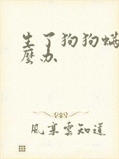 生了狗狗螨虫怎么办封面