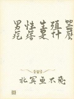 男性生殖器起肉疙瘩是什么原因