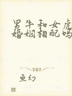 男牛和女虎属相婚姻相配吗封面