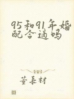 95和91年婚配合适吗封面