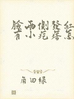 脸两侧发红发痒有小疙瘩怎么办