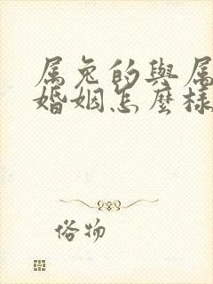 属兔的与属马的婚姻怎么样