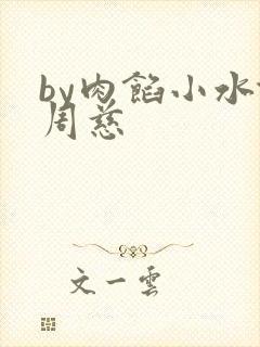 by肉馅小水饺周慈封面