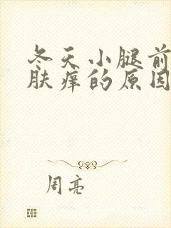 冬天小腿前面皮肤痒的原因