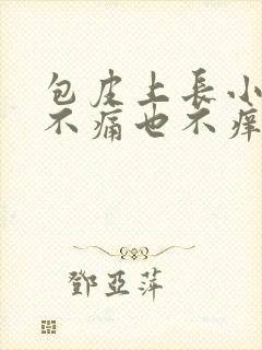 包皮上长小肉粒不痛也不痒封面