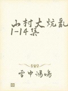 山村大炕乱肉续1-14集