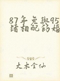 87年兔与95猪相配的婚姻如何