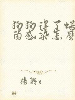 狗狗得了螨虫真菌感染怎么办