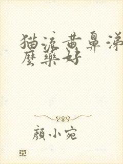 猫流黄鼻涕吃什么药好