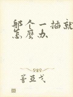 那个一插就泄了怎么办封面