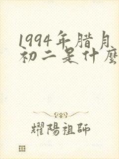 1994年腊月初二是什么命