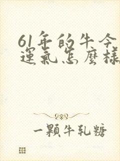 61年的牛今年运气怎么样