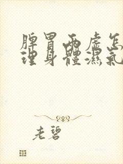 脾胃两虚怎么调理身体湿气重