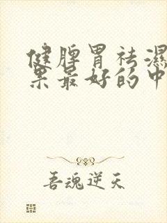 健脾胃祛湿气效果最好的中成药