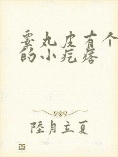 睾丸皮有个硬硬的小疙瘩