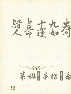 腊月十九出生的人命运如何封面