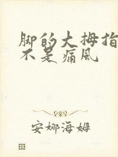 脚的大拇指痛是不是痛风封面