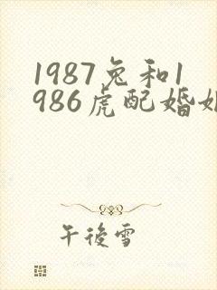 1987兔和1986虎配婚姻好不好