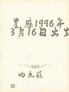 农历1996年3月16日出生的人命运
